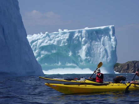 Kayaking beside icebergs