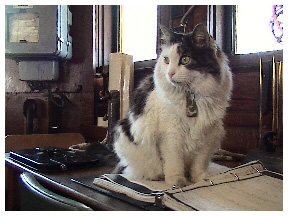 Clara poses in the chartroom