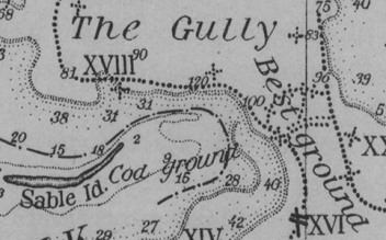 map of the Gully.