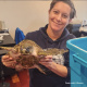 April Nason holding a sea turtle.