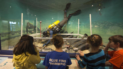  Four children, viewed from the back, stand in front of a large aquarium or glass tank, looking at a scuba diver inside. The diver, wearing a yellow tank and black fins, is positioned upside down near the bottom of the tank, seemingly interacting with the habitat. Another diver is partially visible in the background, along with a school of small fish.